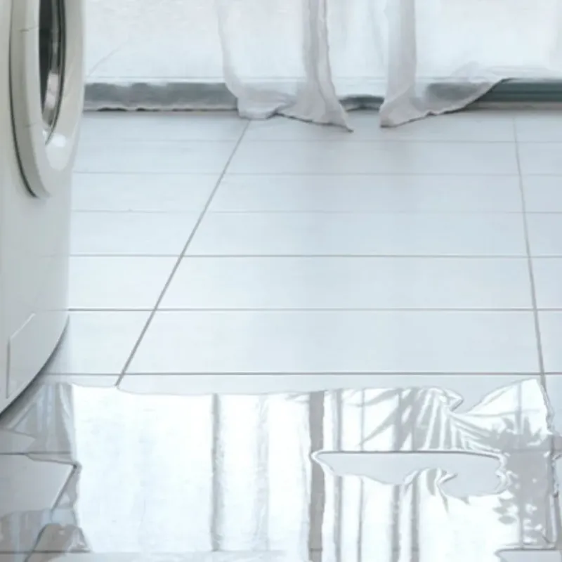 Appliance Leak Cleanup in Medford, WI