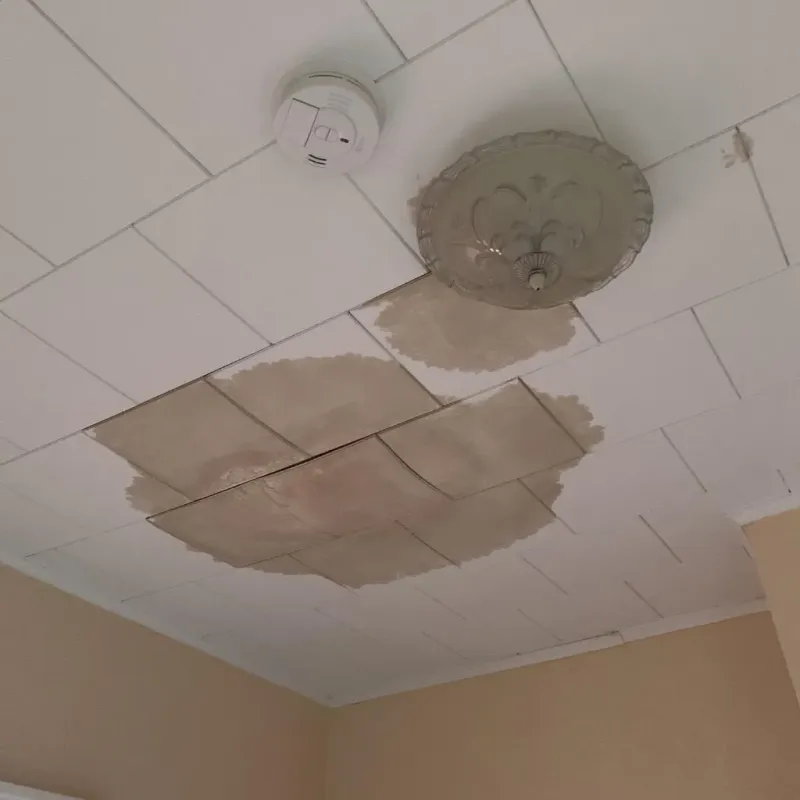 Ceiling Water Damage Repair in Medford, WI